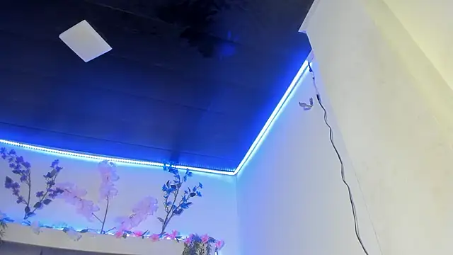 abbiecollins js online show from 03.25.26