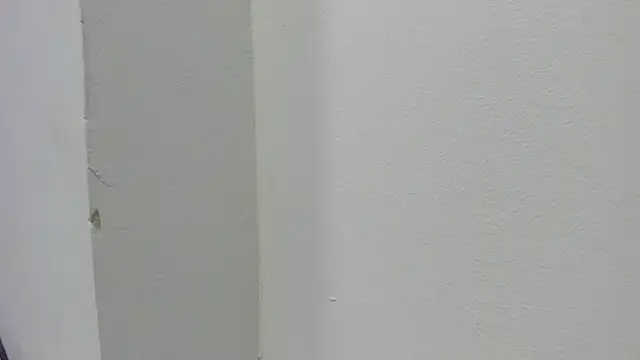 abbiecollins js online show from 03.28.26