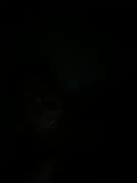 Snapshot of RangingWarranty chatting on 10.20.25 RangingWarranty online show from 10.20.25