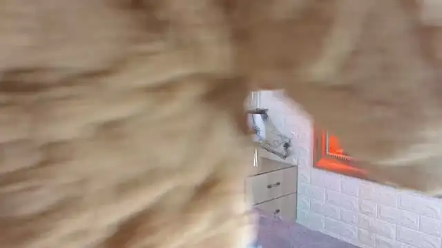 sofiagutierrez   online show from 10.09.25