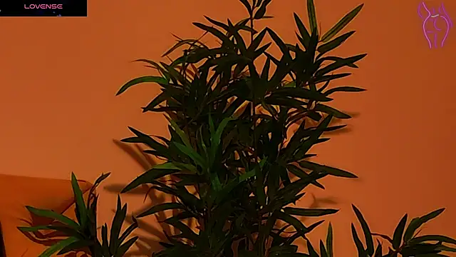 Snapshot of CoraVex chatting on 09.25.25 CoraVex online show from 09.25.25