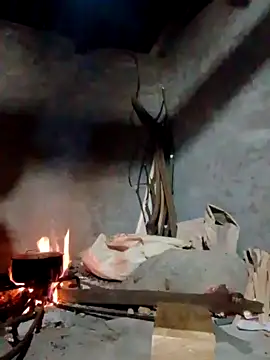 donna-bae online show from 04.16.26