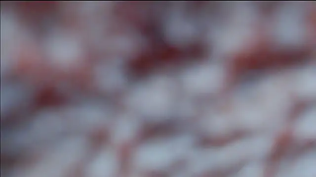 hsua0098 online show from 04.16.26