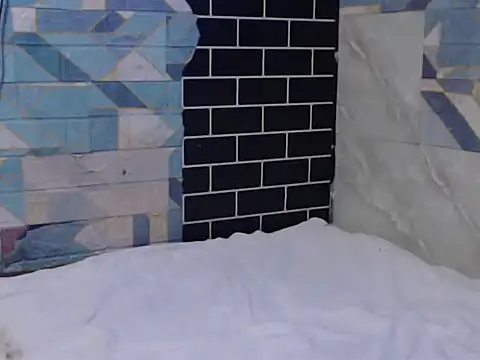 Snapshot of Newt4U chatting on 11.11.25 Newt4U online show from 11.11.25