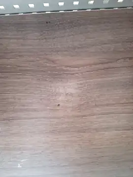 ValeriaLove43211 online show from 04.06.26