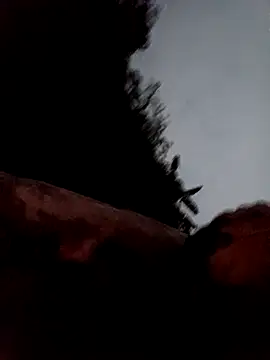 callistra online show from 03.13.26