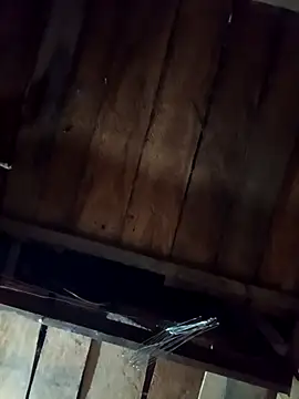 callistra online show from 04.11.26