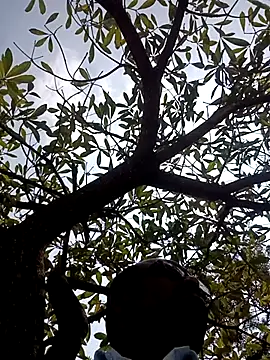 Snapshot of ipvk chatting on 03.02.26 ipvk online show from 03.02.26