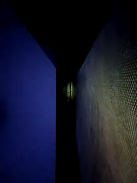 Snapshot of ipvk chatting on 04.10.26 ipvk online show from 04.10.26