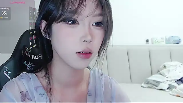 Puppy-12 online show from 11.15.25