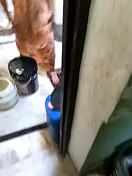 Cute-Charvii online show from 03.08.26