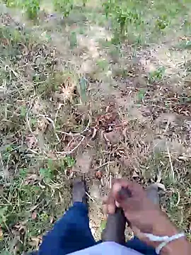 Snapshot of DICKLANKA chatting on 09.23.25 DICKLANKA online show from 09.23.25