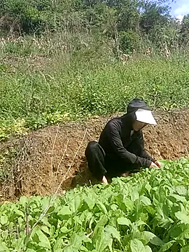 Norah-h online show from 10.30.25