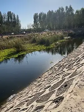 Tang-88 online show from 10.26.25