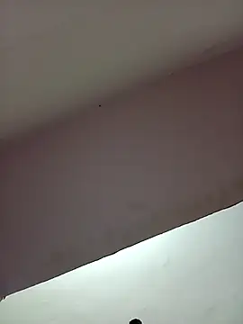 School medam online show from 11.13.25