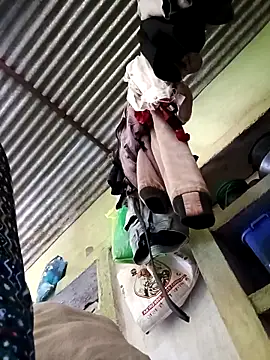 Haliya88 online show from 03.01.26