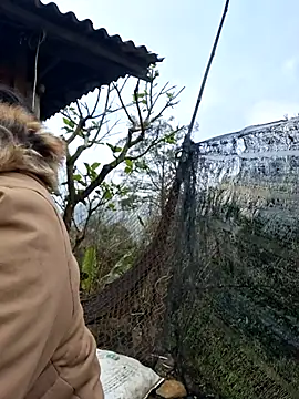 helenzz online show from 12.18.25