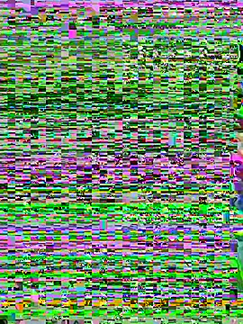 aoyo66 online show from 11.05.25