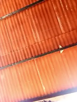 Goofygoody17 online show from 02.08.26