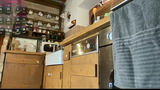 Snapshot of vani_vibez chatting on 11.23.25 vani vibez online show from 11.23.25