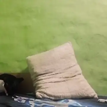 Snapshot of kaland69 chatting on 11.09.25 kaland69 online show from 11.09.25