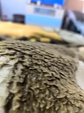 Snapshot of sebas_sexo_goloso chatting on 11.14.25 sebas sexo goloso online show from 11.14.25