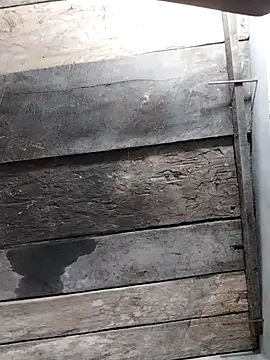 zhen-zo online show from 04.17.26