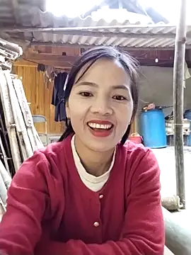 lmc-zz online show from 11.30.25