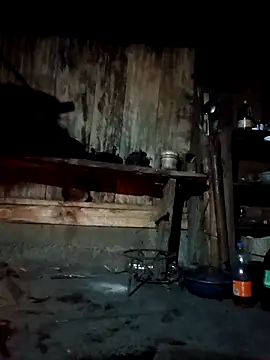 Snapshot of bree-zz chatting on 04.07.26 bree-zz online show from 04.07.26