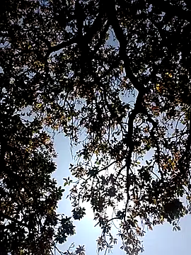 Rs sonam online show from 03.07.26