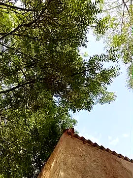 Rs sonam online show from 04.08.26