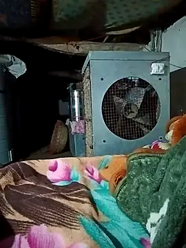 Snapshot of Lona2525 chatting on 02.16.26 Lona2525 online show from 02.16.26