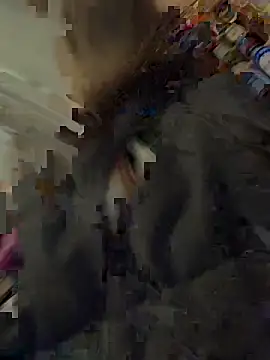 silentasachurchmouse online show from 12.03.25