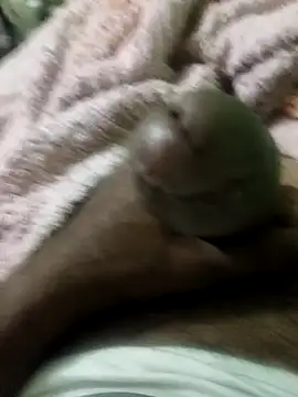 sam salman online show from 02.09.26