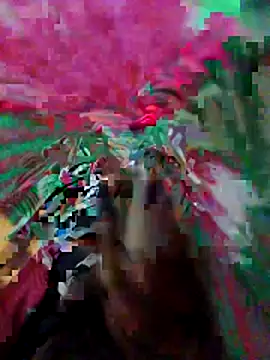 nagepalli online show from 04.08.26