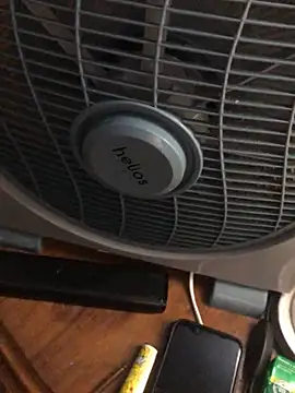 -bunny06 online show from 10.02.25