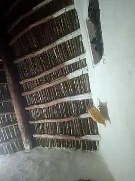 LOVE-VIKA online show from 02.23.26