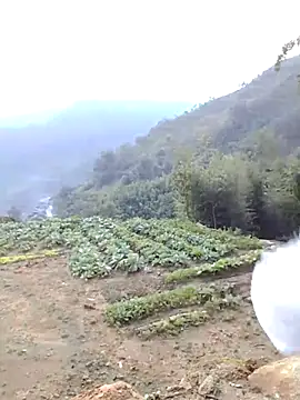 Bum 538 online show from 11.23.25