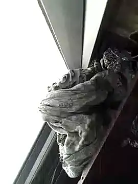 amanWildstalion online show from 11.08.25