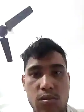 amanWildstalion online show from 11.15.25