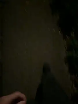 Snapshot of ncjuice_ chatting on 10.31.25 ncjuice  online show from 10.31.25