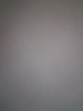 JNTre online show from 02.10.26