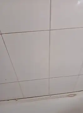 PhoningTint online show from 10.12.25