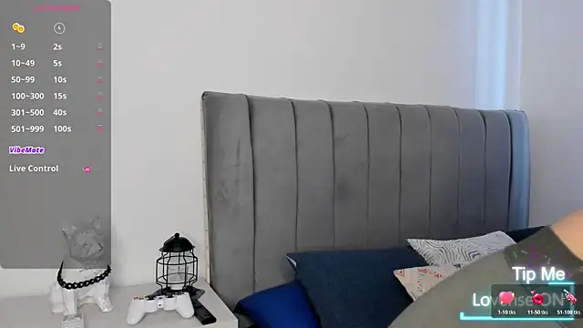 Snapshot of JARETHH chatting on 11.14.25 JARETHH online show from 11.14.25