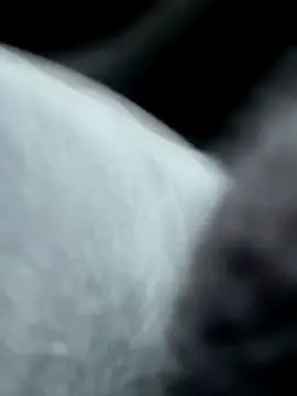 Snapshot of pleasedontpressaredburton chatting on 10.14.25 pleasedontpressaredburton online show from 10.14.25