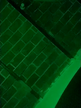 Buddha289 online show from 03.09.26