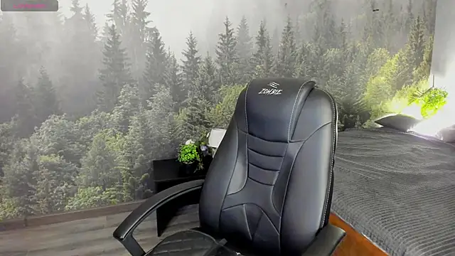 Sara Frayer online show from 12.01.25