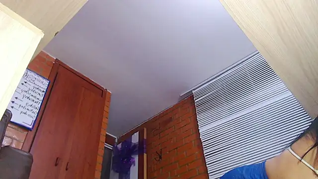 Snapshot of Salome-sw chatting on 12.14.25 Salome-sw online show from 12.14.25