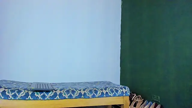 Snapshot of Velourmuse chatting on 11.25.25 Velourmuse online show from 11.25.25