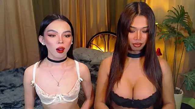 TWINKTRANSSHANEL online show from 10.08.25